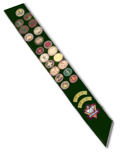 Pathfinder Sash